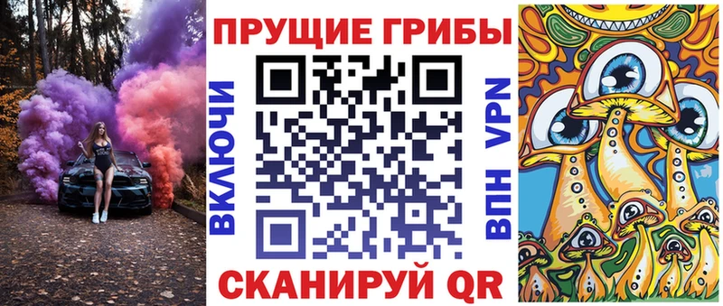 где купить   Неман  Галлюциногенные грибы Cubensis 